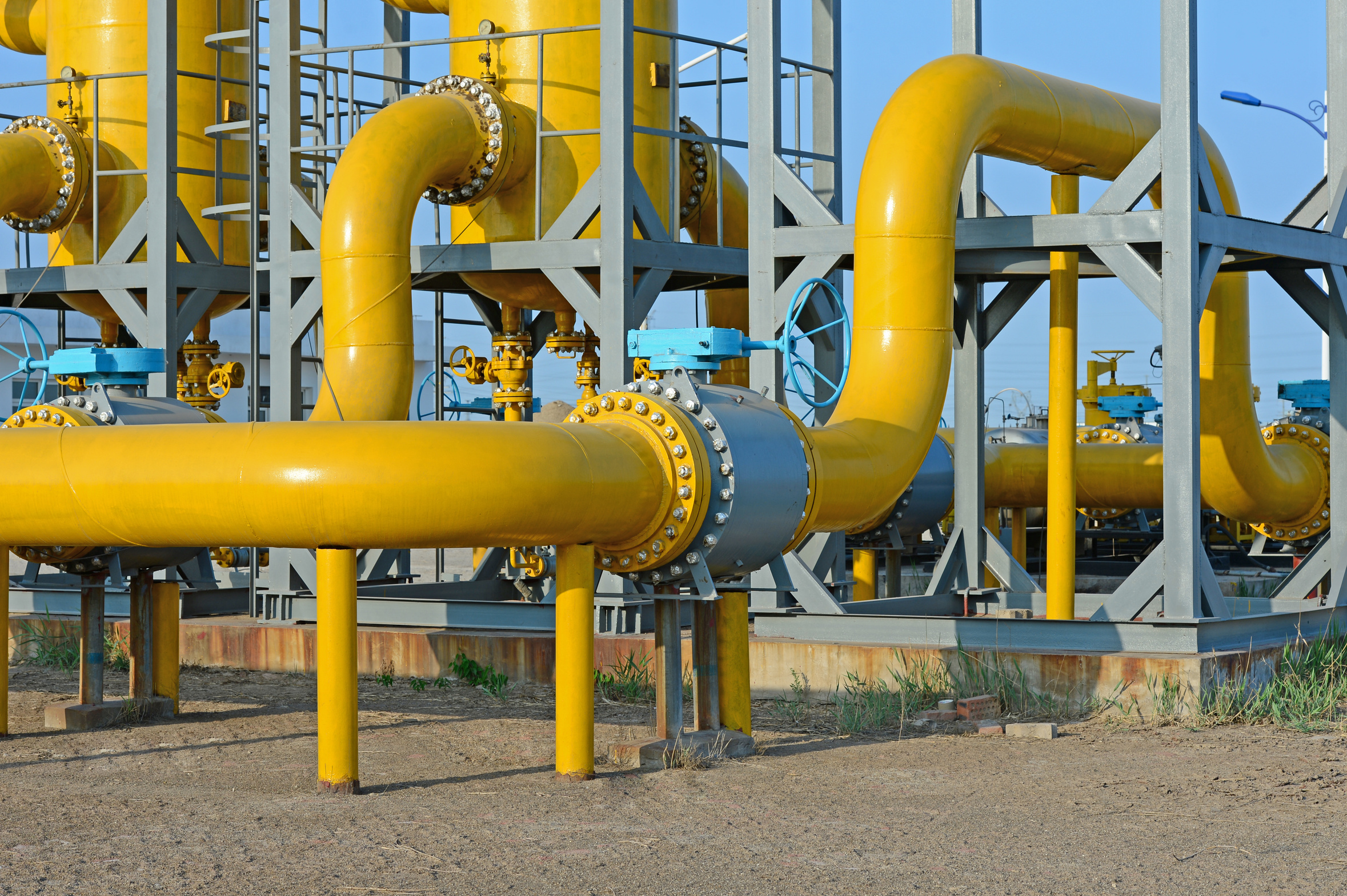 Innovation and vision